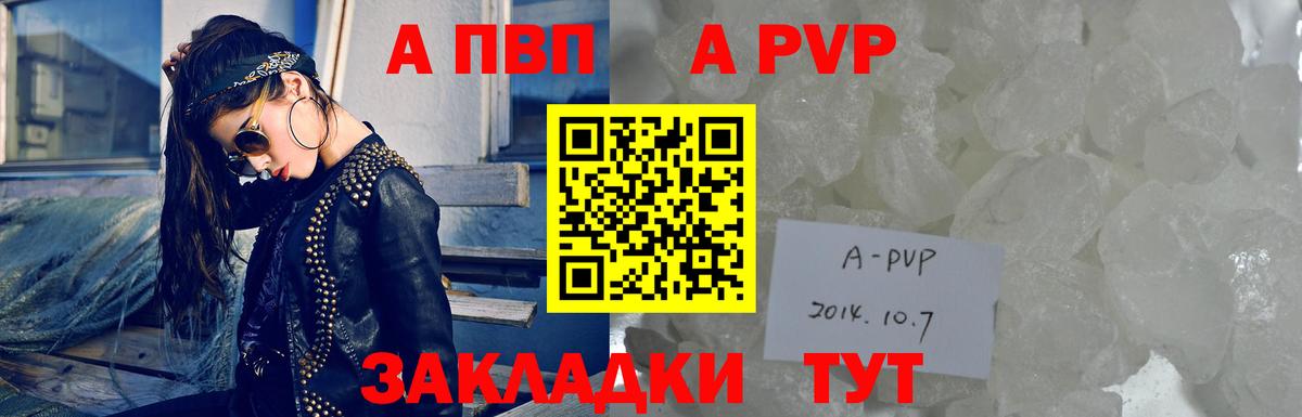 Alfa_PVP СК КРИС Сосновый Бор