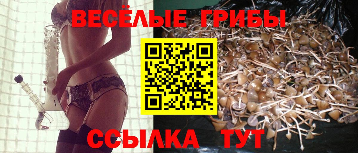 ГАШ  Сосновый Бор  МЕФ   МДМА  ГАШ  Лсд 25  МЕФ  Вход с VPN  Конопля 