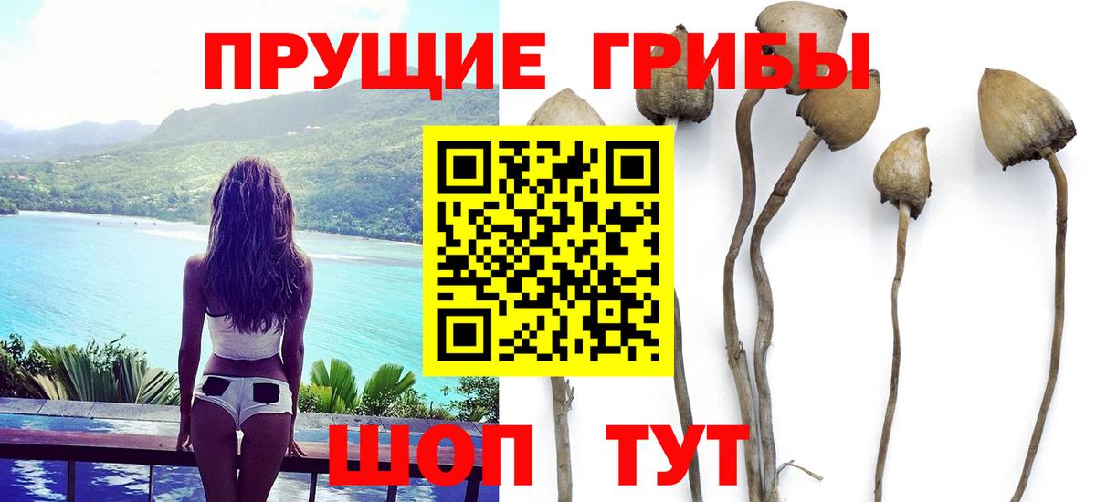 Псилоцибиновые грибы мухоморы  Галлюциногенные грибы прущие грибы  Вход с VPN  даркнет сайт  Сосновый Бор 