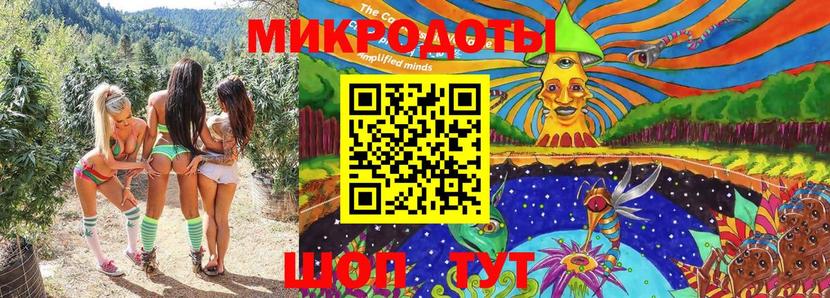 Псилоцибиновые грибы Magic Shrooms  Галлюциногенные грибы Psilocybine cubensis  Сосновый Бор 